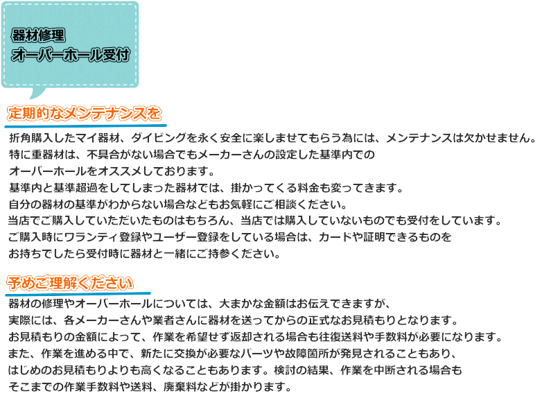 �X�L���[�o�_�C�r���O��ޏC����t